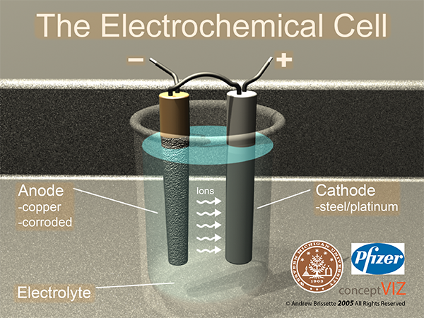 the electrochemical cell