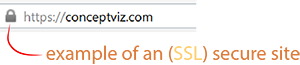 example of an SSL secure site